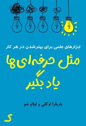 خلاصه کتاب مثل حرفه ای ها یاد بگیر